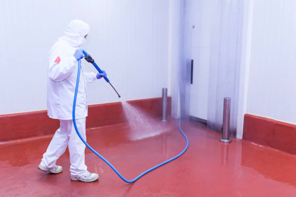 Trusted Alexandria Bay, NY Pressure Washing Experts